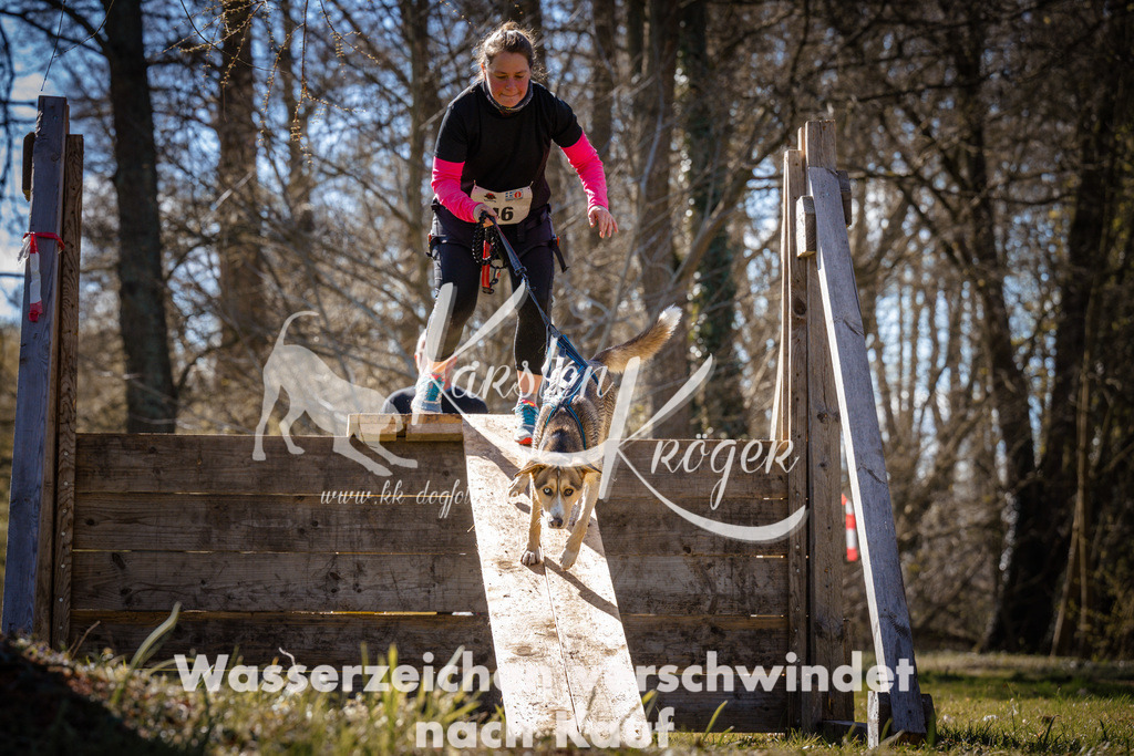 1001_ZZ97008 | kk-dogfotos