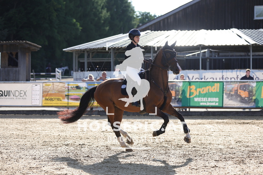 0P6A6236 | Willkommen bei Brunnmayr - Design & Fotografie – Ihrem Spezialisten für Reitturniere und Pferdeveranstaltungen in Oberösterreich, Salzburg und Bayern! Seit über 17 Jahren sind wir leidenschaftlich dabei.