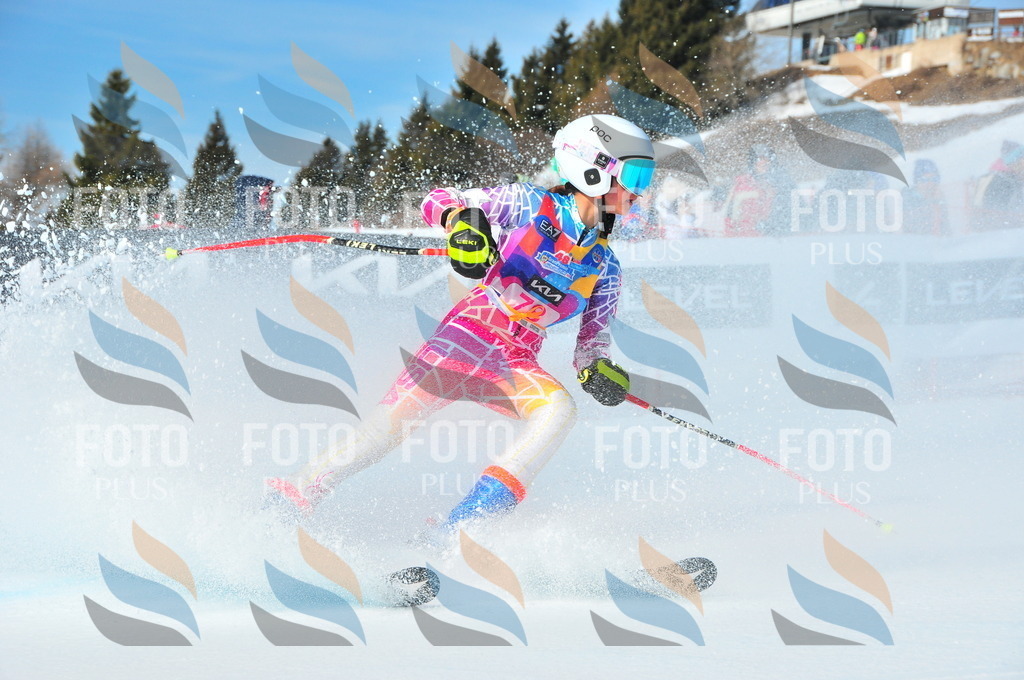 DSC_4370 | holidayphoto