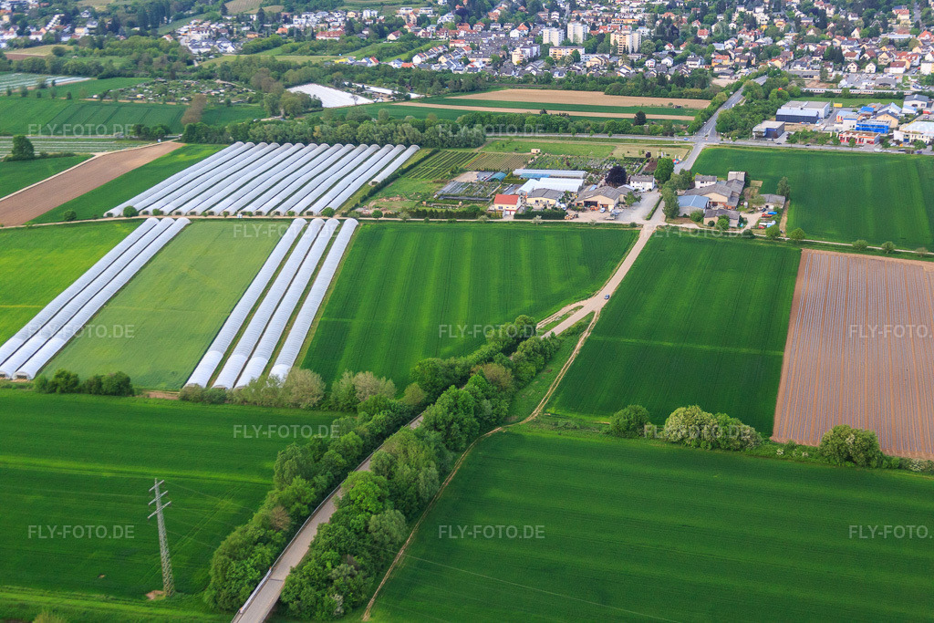 Luftbild: Lindenhof Blumen im Ortsteil Auerbach in Bensheim im Bundesland Hessen in Deutschland. Foto: IMG_088377.jpg vom 09.05.2016 durch Werner Riehm/FLY-FOTO.de