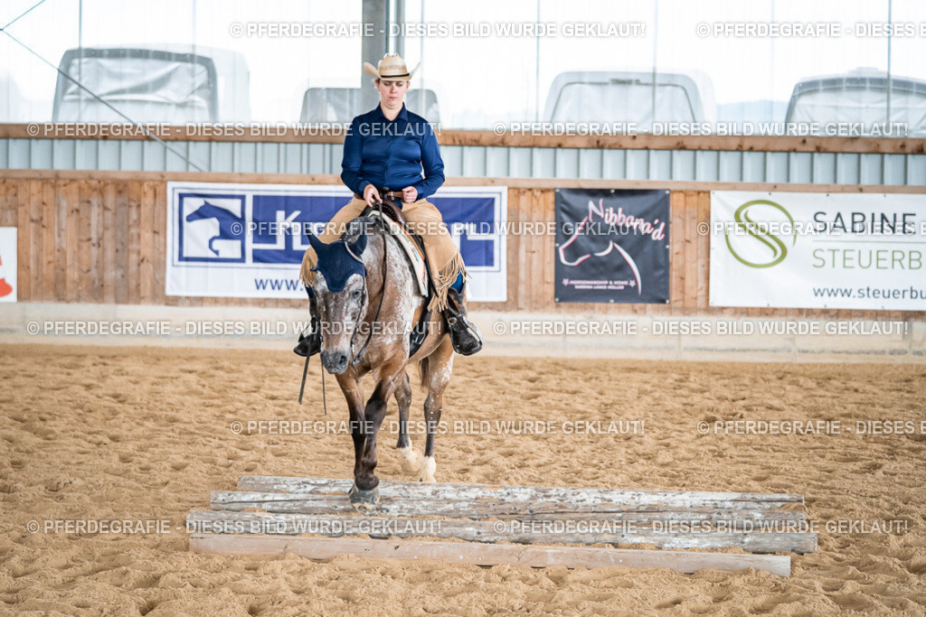 DSC03800 | Pferdegrafie