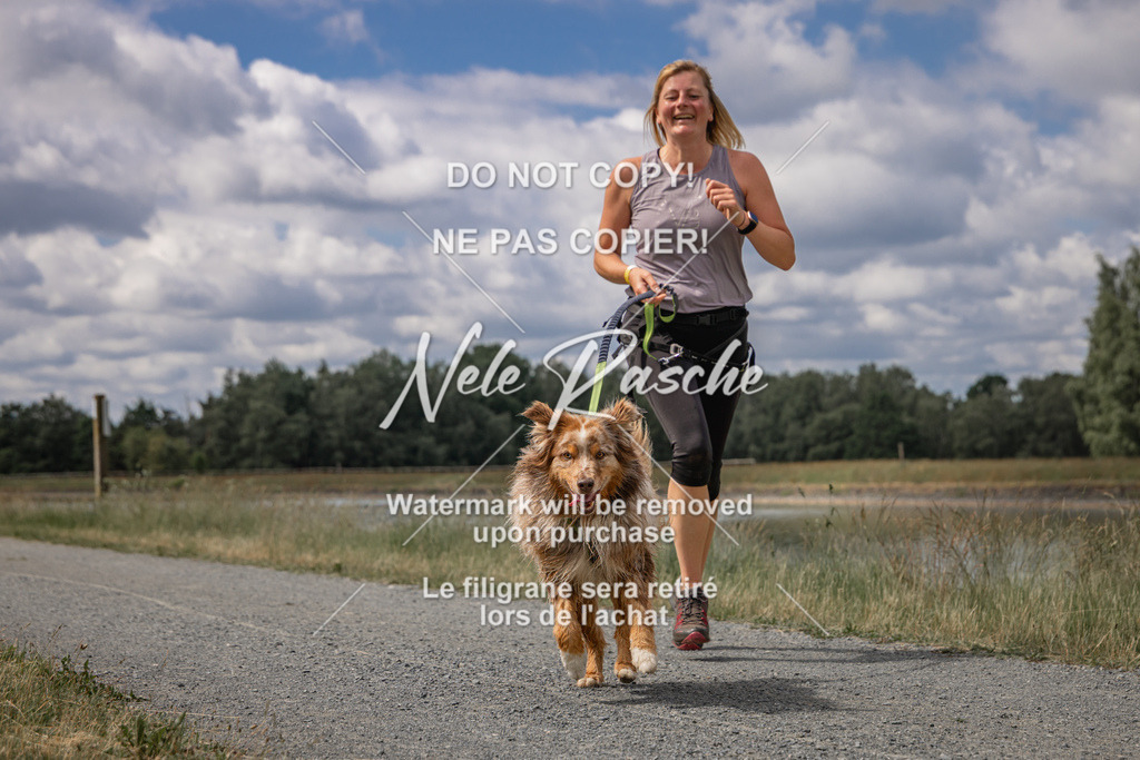 nelerasche_BuHu2026_SaCC1100-1200_91 | nelerasche