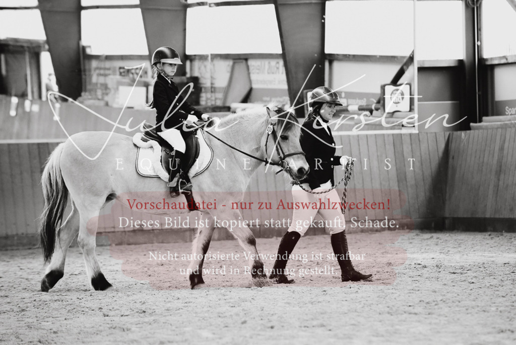 DSC_6846 | Pferde- und Turnierfotografie in Westsachsen. Pferdeportraits, Auftragszeichnungen und intuitive Kunst.