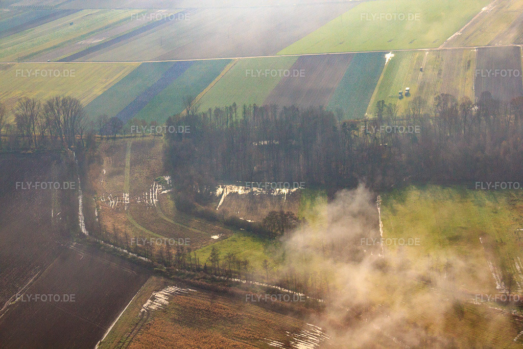 Luftbild: Erlenbach in Kandel im Bundesland Rheinland-Pfalz in Deutschland. Foto: IMG_35469.jpg vom 20.11.2010 durch Werner Riehm/FLY-FOTO.de