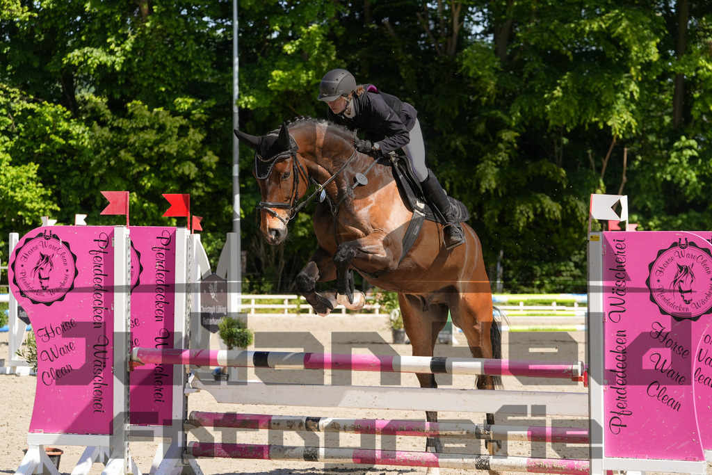 DSC02151 | Julian Held Fotografie - Realisiert mit Pictrs.com