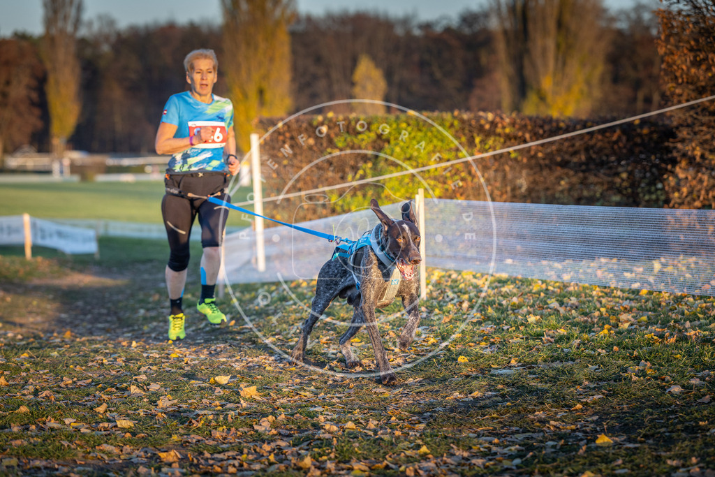 CaniXpix_DV3A5497 | Hundefotografie, Tierfotograf, Pfotenfotografie, Fotoshooting Hund, Hunde Portrait, Hundesport, Hundeportraits, Heideshooting, Hunde, Sportfotograf, Hundefotograf, Turnierhundsport, THS,  - Realisiert mit Pictrs.com