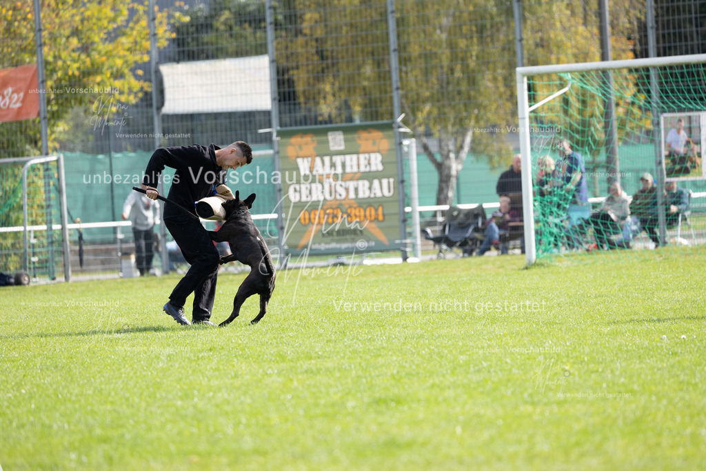 _16A5433 | Einzigartige Fotos von Hunden & Menschen –Actionfotos, Portraits, Vereinsaufnahmen & Paarshootings – authentisch, lebendig & mit Herz.