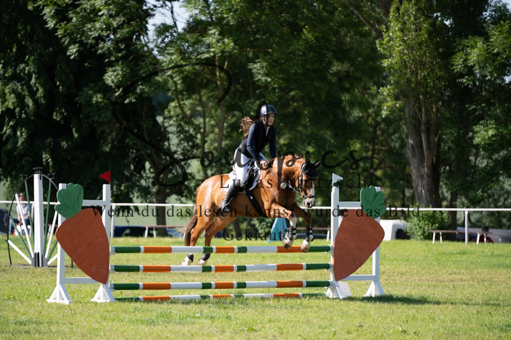 A7V05305 | Pferdefotograf