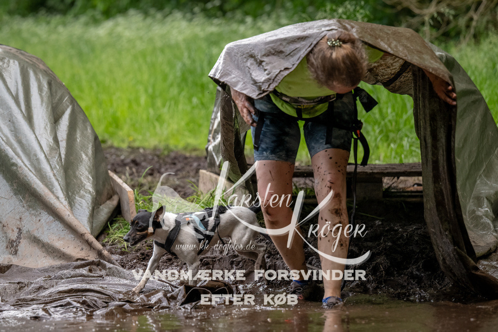 1521_ZZ92954-Bearbeitet | kk-dogfotos