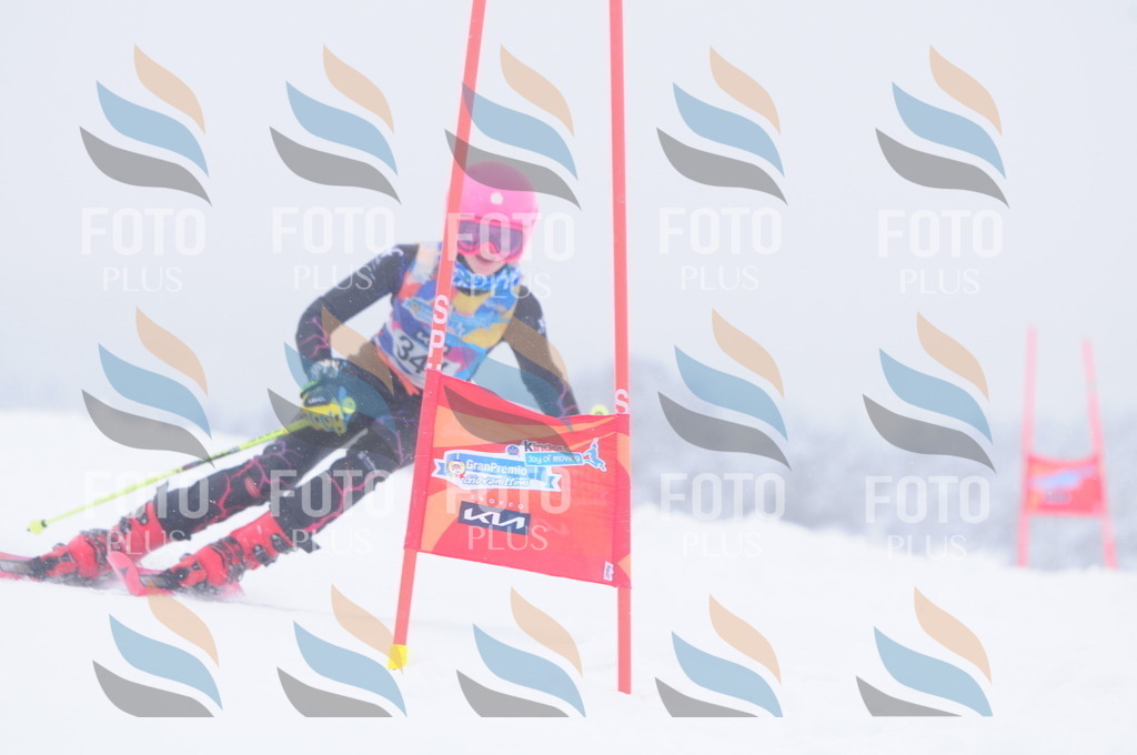 C3655 | holidayphoto