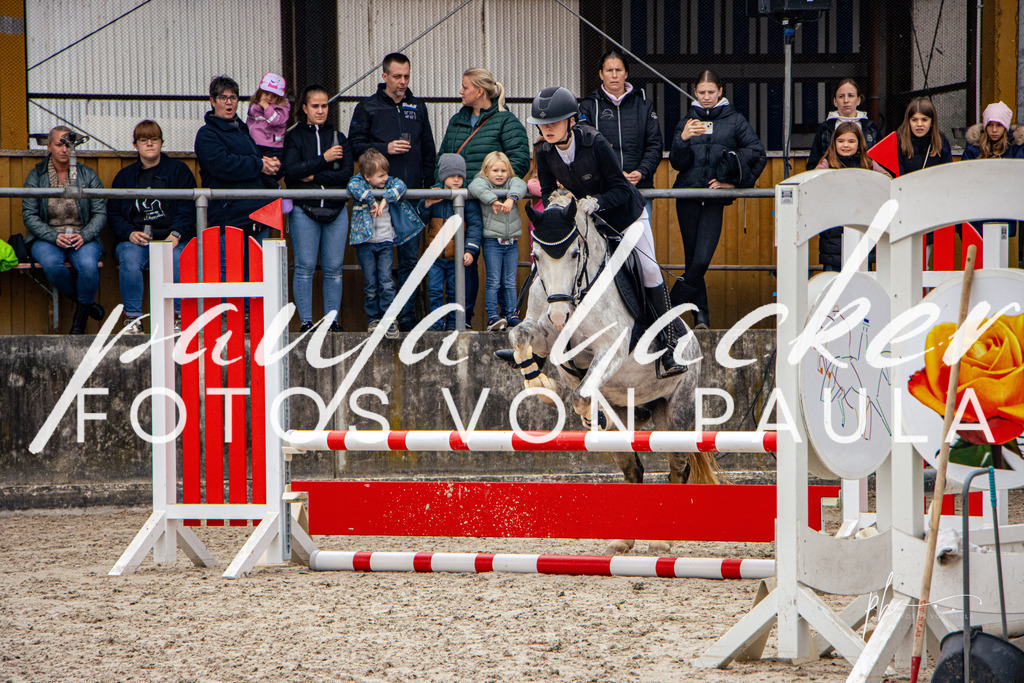 IMG_3493 | Erleben Sie dynamische Sport- und emotionale Tierfotografie in Süddeutschland mit Fotos von Paula. Spezialisiert auf Pferde- und Hundefotografie sowie Sportevents. Kontaktieren Sie mich für einzigartige und ausdrucksstarke Bilder Ihrer besonderen Momente. - Realisiert mit Pictrs.com