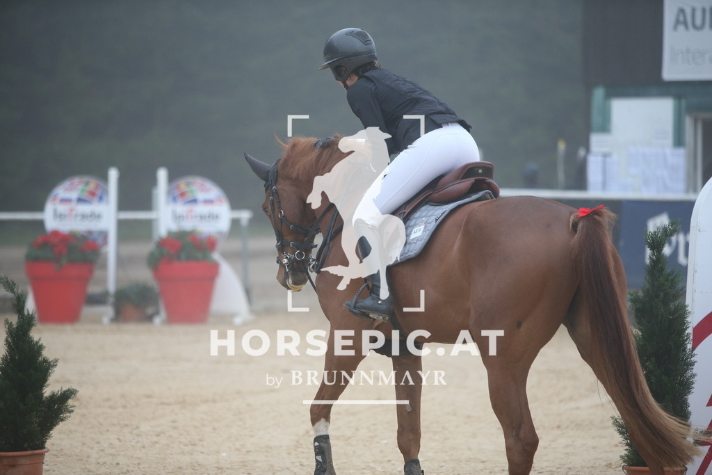 PP012412 | Willkommen bei Brunnmayr - Design & Fotografie – Ihrem Spezialisten für Reitturniere und Pferdeveranstaltungen in Oberösterreich, Salzburg und Bayern! Seit über 17 Jahren sind wir leidenschaftlich dabei.