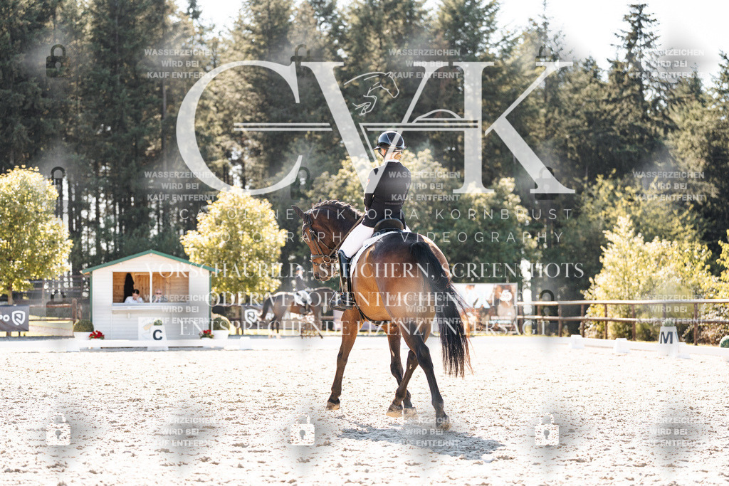 CK905676 | Turnierfotografie Pferdefotografie Trier Rheinland-Pfalz Pferdesport Reitsport Tierfotografie Sportfotografie Pferdevideo Pferdevideografie Equestrianvideography equestrianphotography  - Realisiert mit Pictrs.com