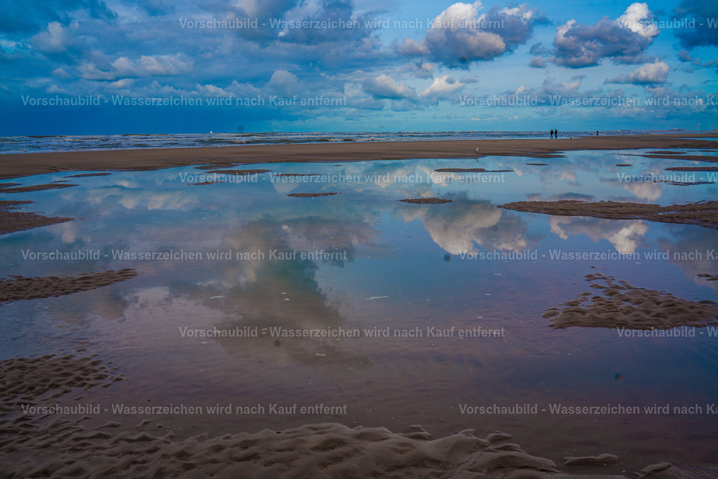 DSC01530-Enhanced-NR-3 | marcuslinek