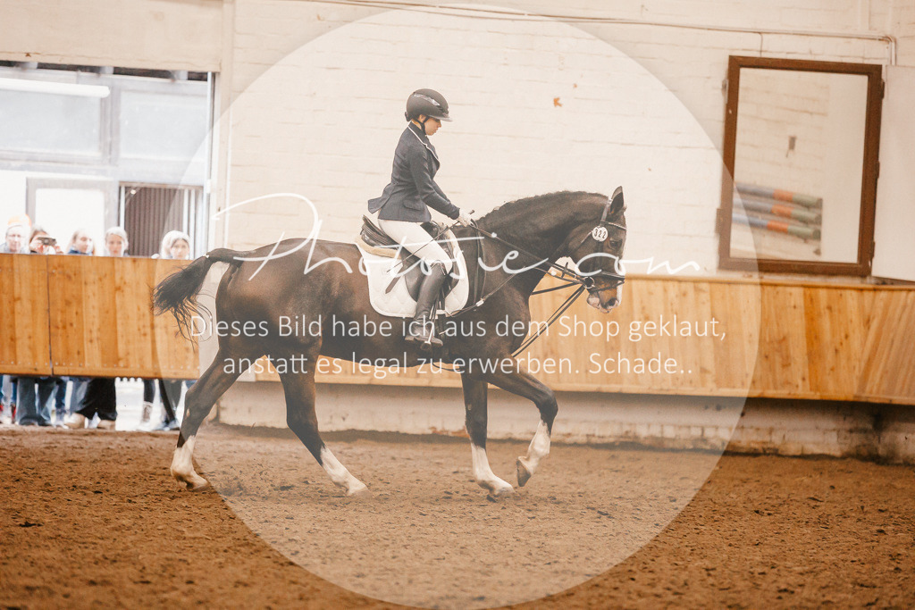 3I6A6534 | Stimmungsvolle Portraits und Reitsportfotografie im Ruhrgebiet und im Münsterland.

Pferdefotografie, Hundefotografie, Tierfotografie, Reportagen, Portraits von Tier und Mensch, Turnierfotografie in Bochum, Recklinghausen, Marl, Haltern am See, Dülmen.. - Realisiert mit Pictrs.com