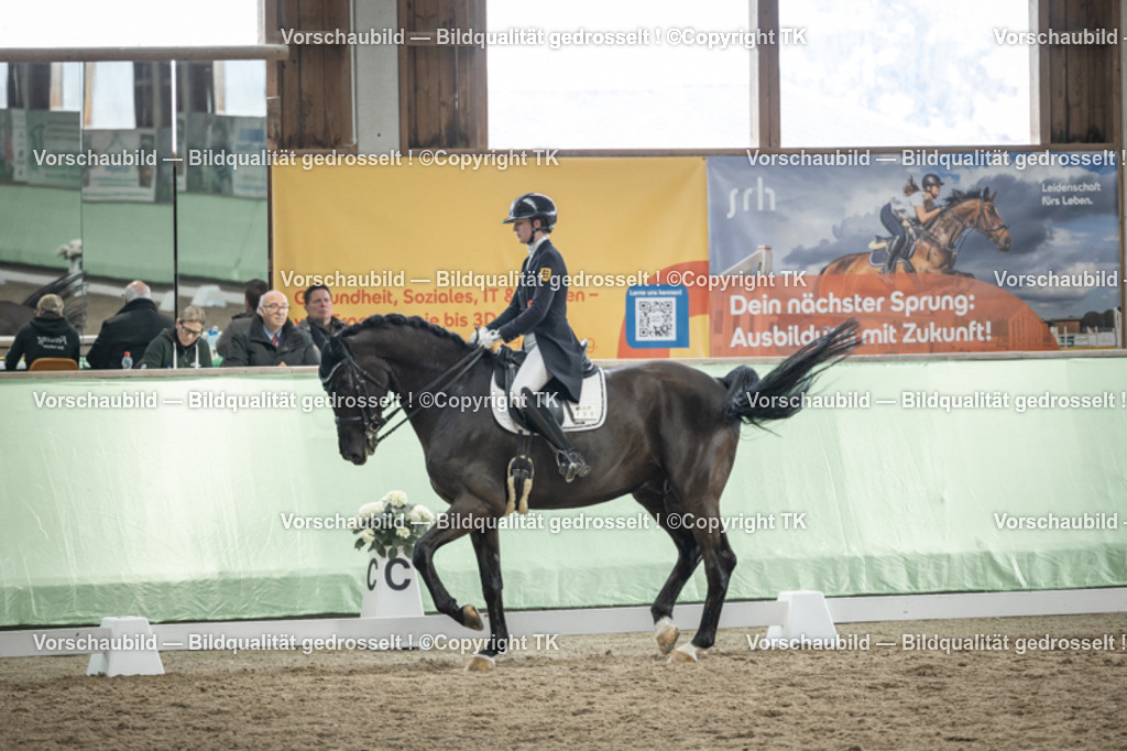 _D5A5998 | Emotionale Pferde- & People-Fotografie rund um Heidelberg, Leimen & Umgebung. Natürliche Fotos von Pferd, Mensch & Familie. Jetzt Termin sichern!