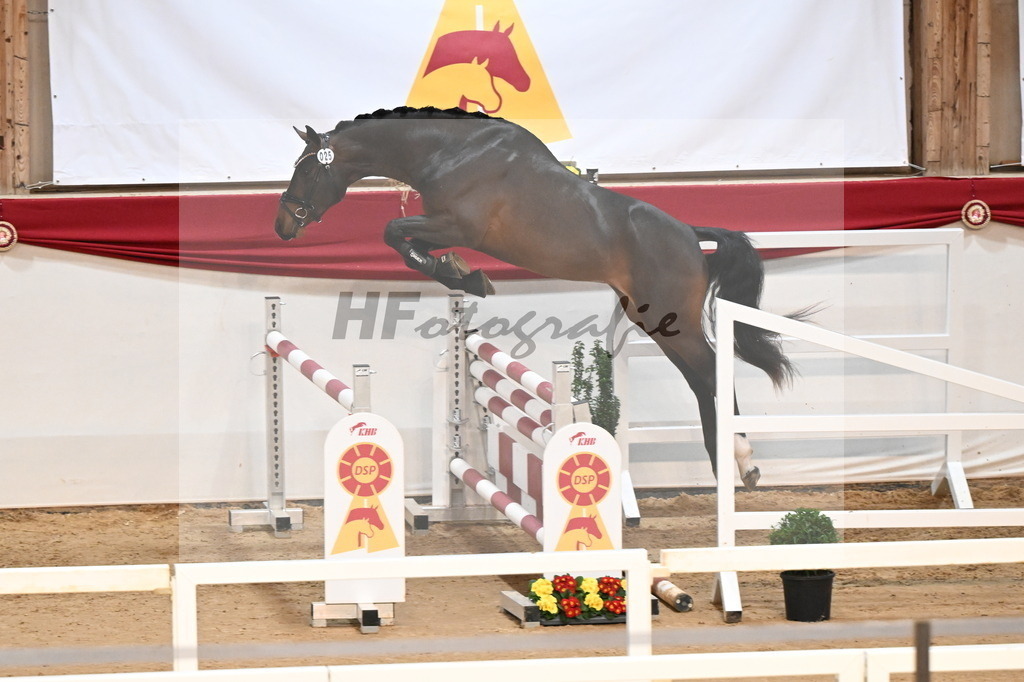 Kat.-Nr. 25 v. Jasper_Stabhalterhof_3261777 | hf-fotografie - Realisiert mit Pictrs.com