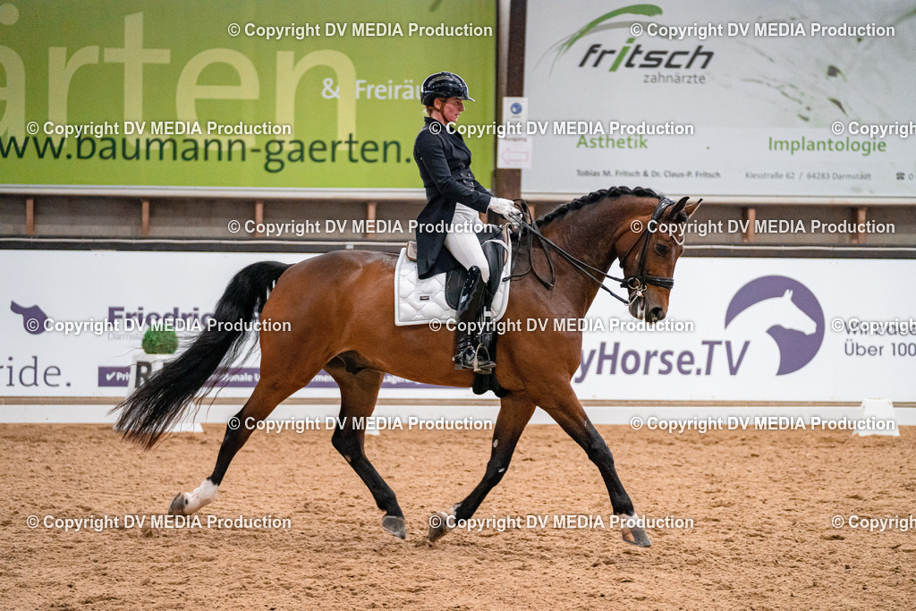 Kranichstein Tag 1-561 | dv-media-shop - Realisiert mit Pictrs.com