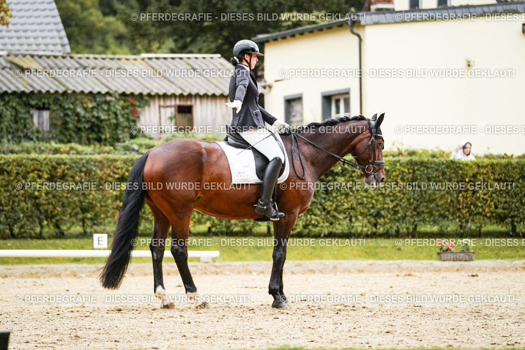 DSC07407 | Pferdegrafie