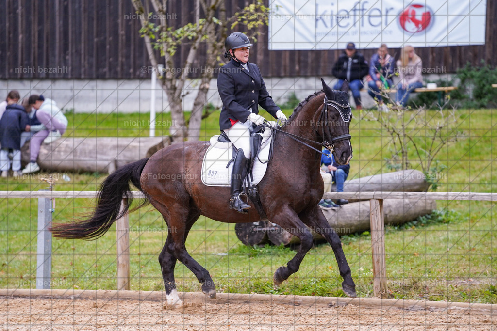20231007-SN_00970 | Professionelle Turnier- und Reitsportfotografie - mit dem Finger am Auslöser. Pferdebilder aus dem Reitsport von den Turnierfotografen  Bayern , Pferdefotograf Bayern, Pferdeshooting Turnierbilder, Hochzeitsfotograf, Eventfotograf, Hochzeitsbilder