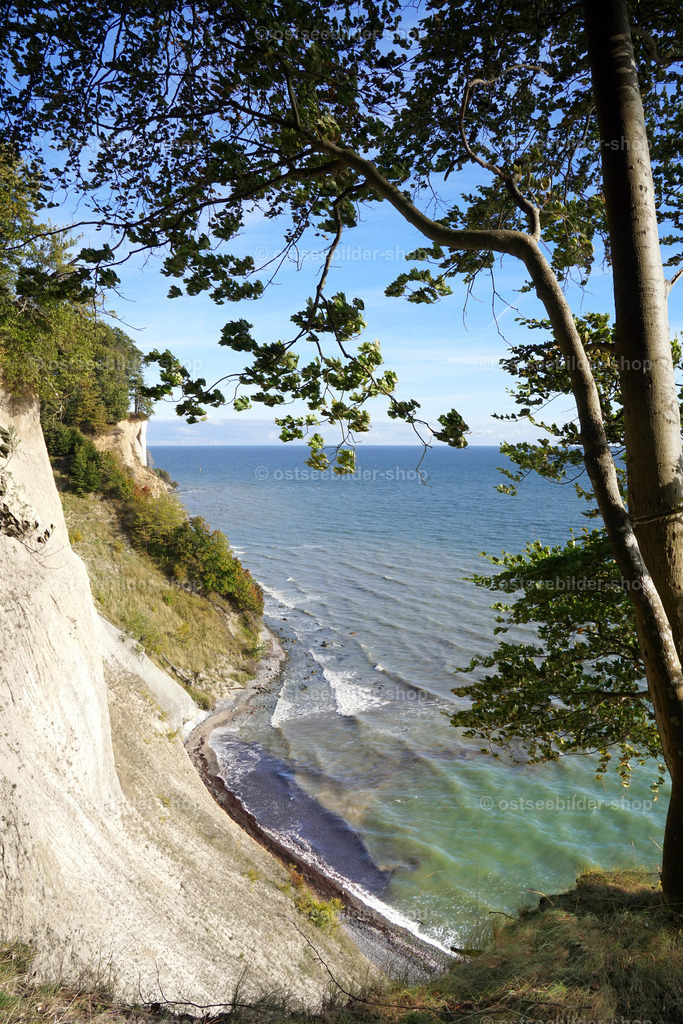 Blick von der Klippenkante | Das Bild zeigt den Blick vom Klippenrand auf die Kreidefelsen des  Gakower Ufers im Nationalpark Jasmund.