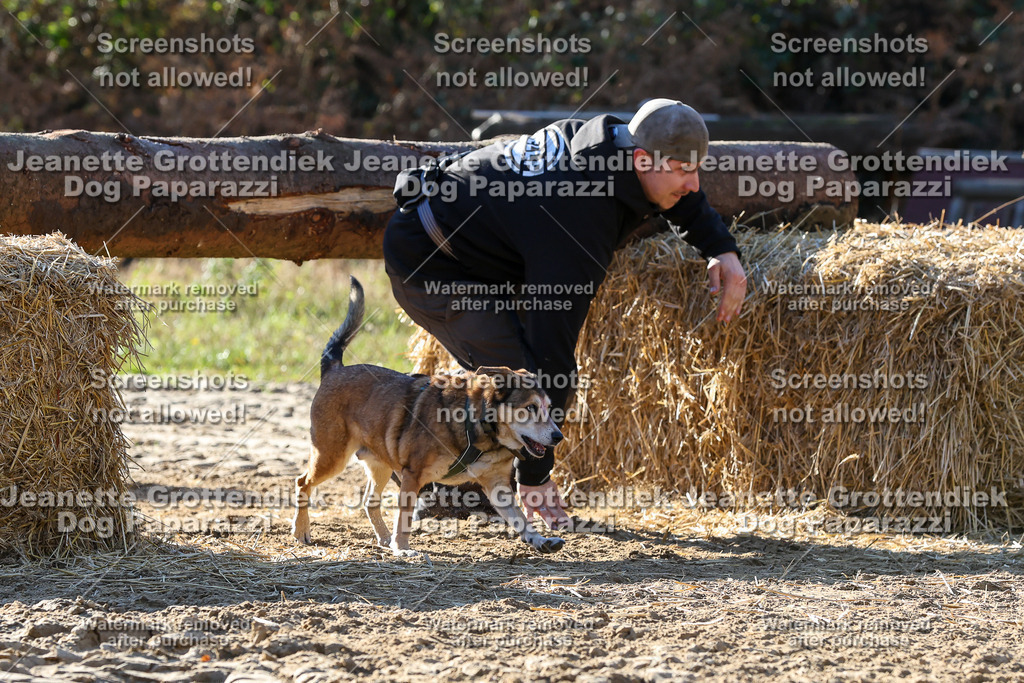 Dog Paparazzi - Strongdog 10-25-6036 | Dog Paparazzi Jeanette Grottendiek Fotografie & Videografie - Realisiert mit Pictrs.com