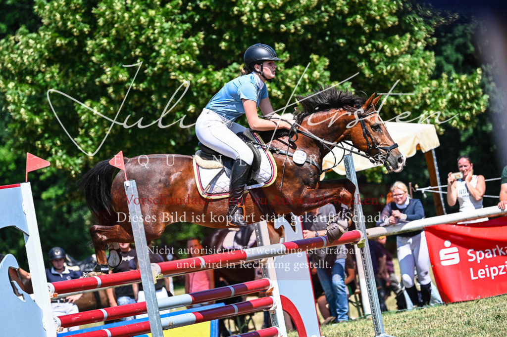 DSC_0959 | Pferde- und Turnierfotografie in Westsachsen. Pferdeportraits, Auftragszeichnungen und intuitive Kunst.