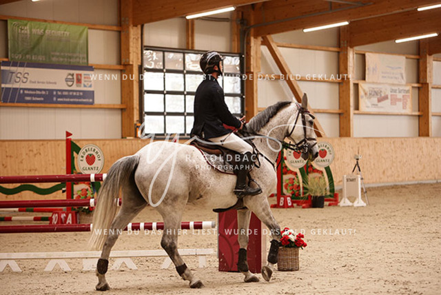 1J2A5576Jasmin Selke-John_ Linda T_ Kn344_ Glantz_ Hohen Wieschendorf | Foto- und Videografie für alles rund ums Pferd. Hochwertige Bilder und Videos vom Spring- und Dressurreiten, Voltigieren & mehr. Jetzt aktuelle Veranstaltungen und Preise im Shop ansehen. - Realisiert mit Pictrs.com