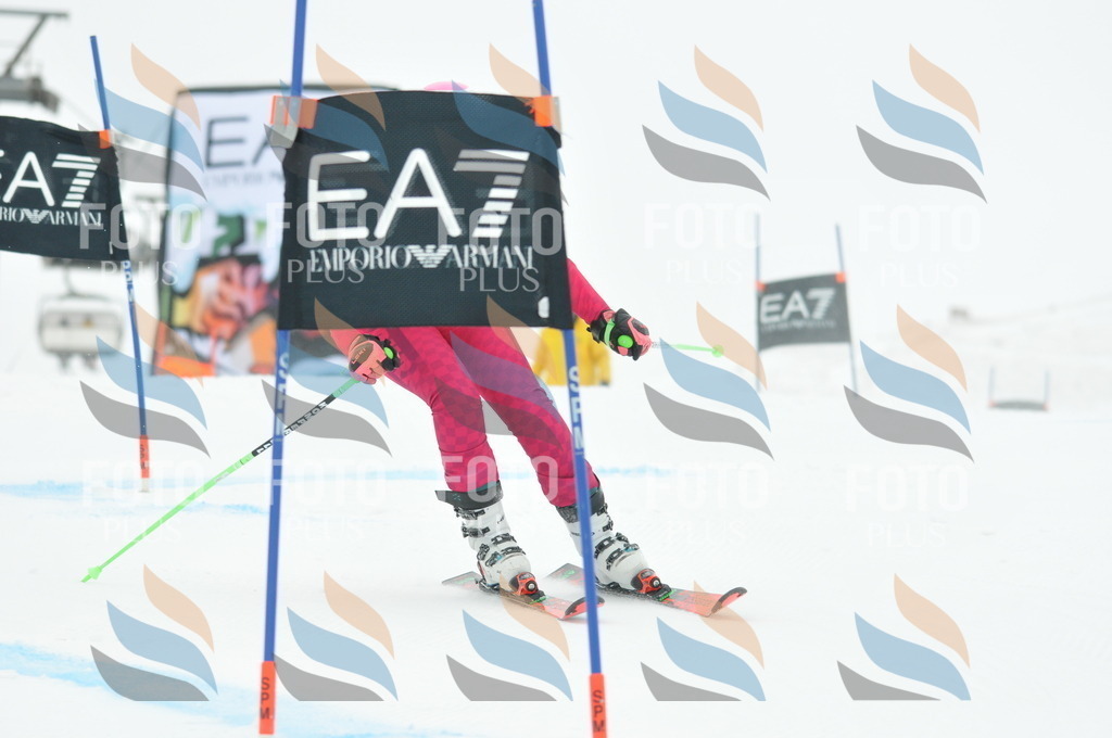 DSC_8027 | holidayphoto