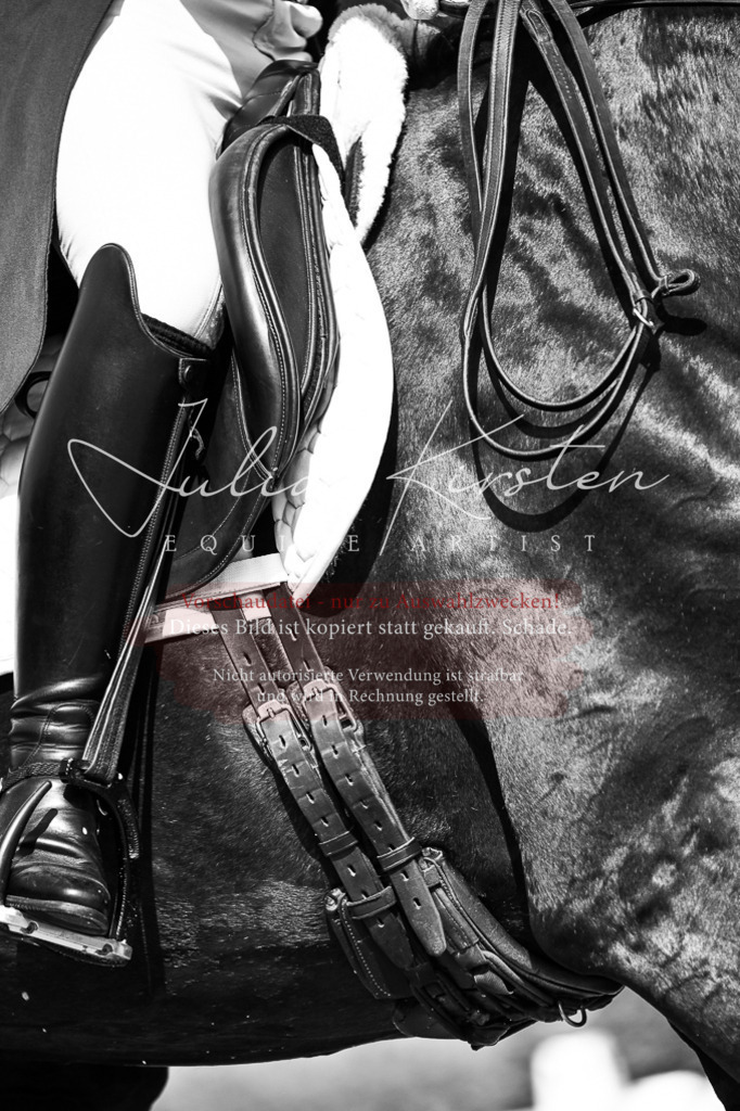 DSC_3015 | Pferde- und Turnierfotografie in Westsachsen. Pferdeportraits, Auftragszeichnungen und intuitive Kunst.