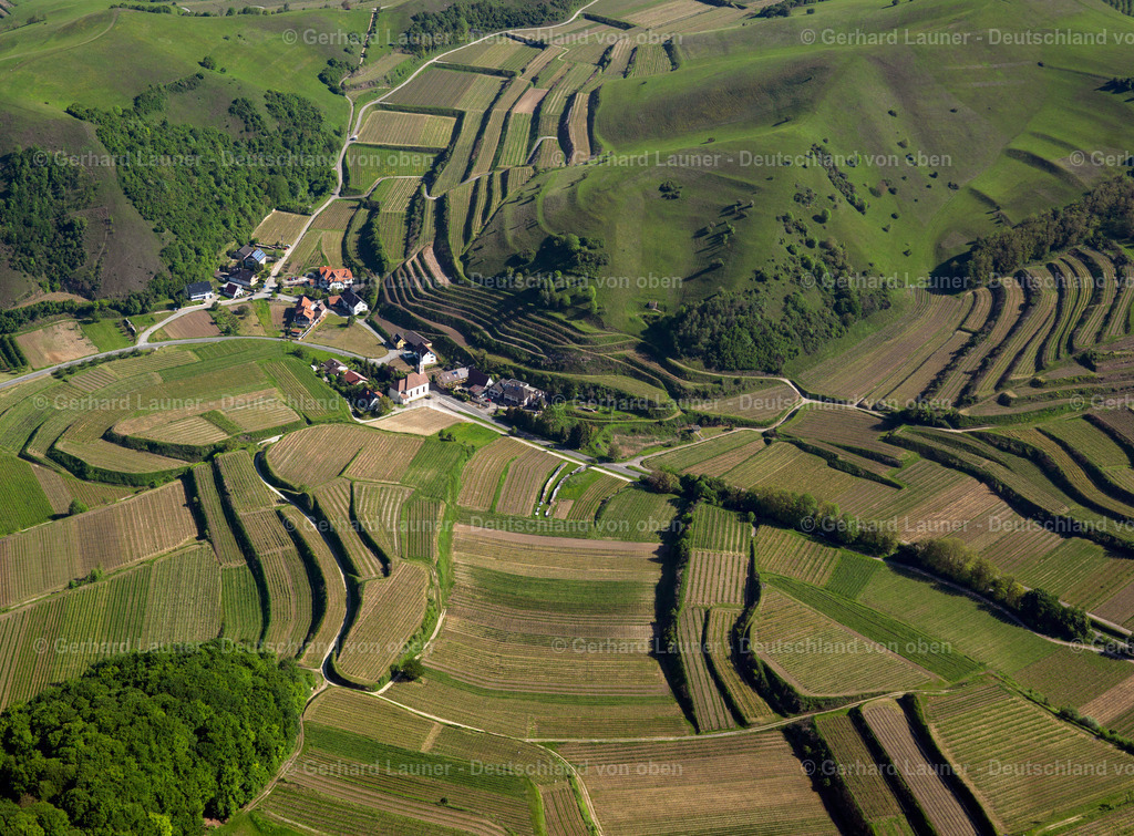 3096237 | Altvogtsburg, Badberg, Kaiserstuhl