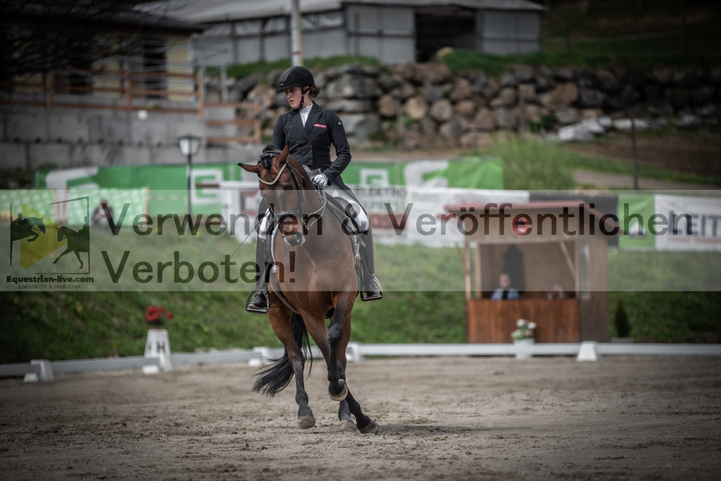 DSC_2468 | equestrian-live-com