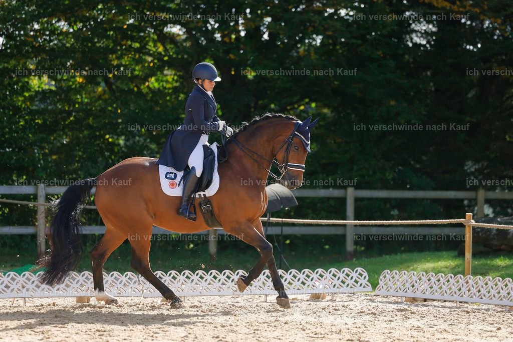 09_2-169-DRESSUR  S_  -StoibPH-5746 | working equitationturnier fotograf videograf stoibphotography marixx film working equitation deutschland reitsport turnierfotografie eventfotografie equestrian events