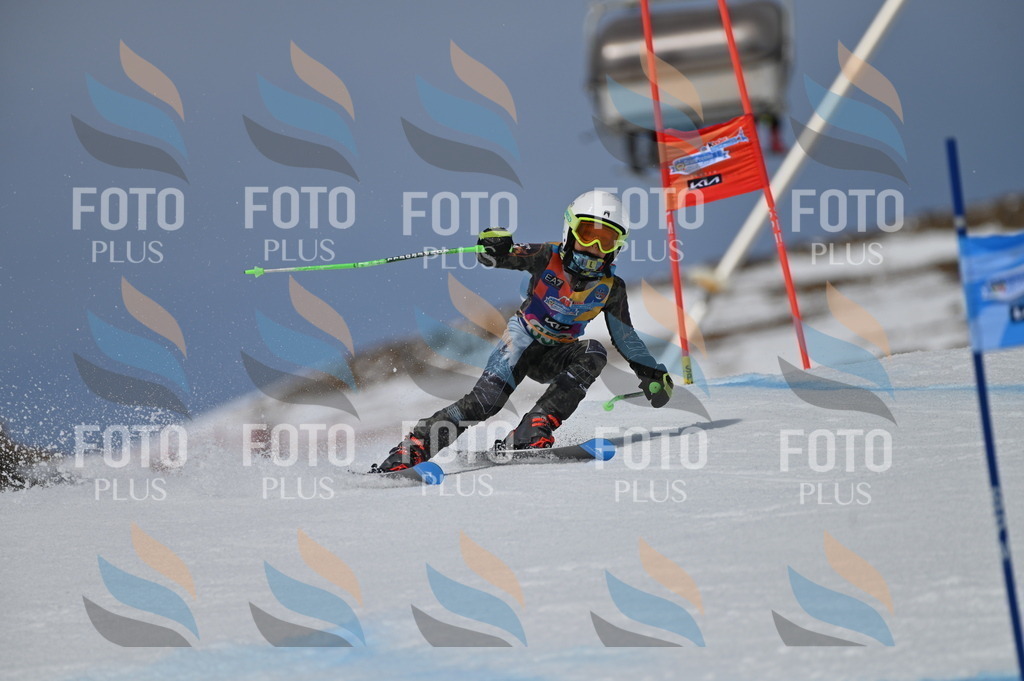 BGV_6950 | holidayphoto