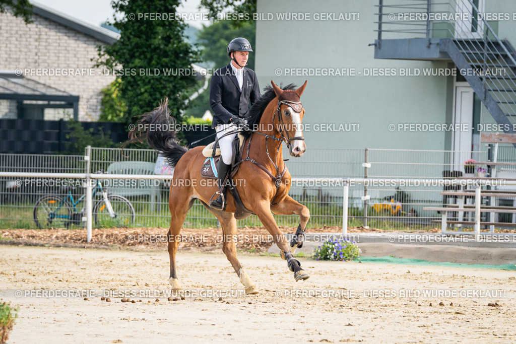 DSC09058 | Pferdegrafie