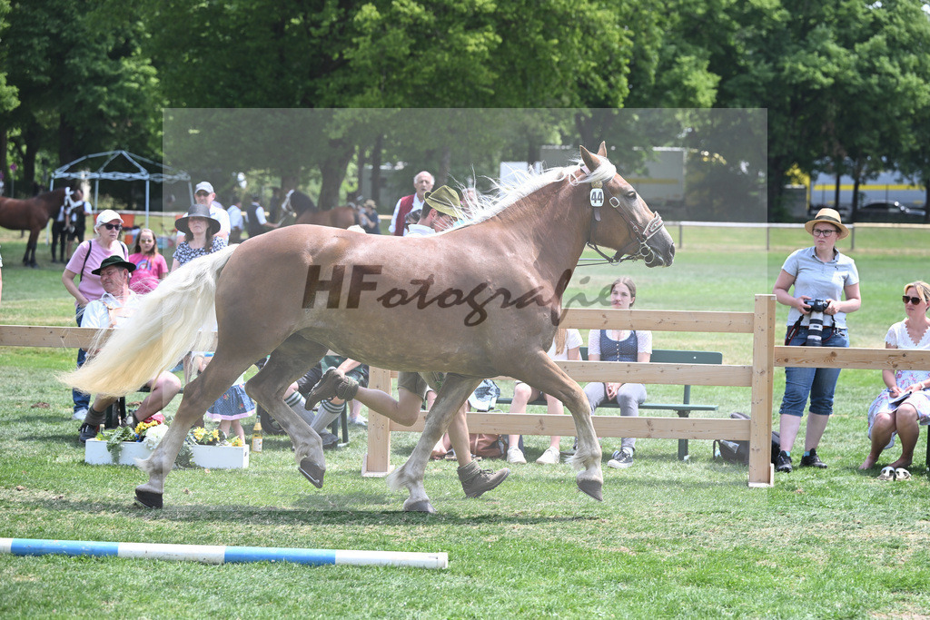 Kat-Nr. 44 Nanni_Probst_20230681 | hf-fotografie - Realisiert mit Pictrs.com