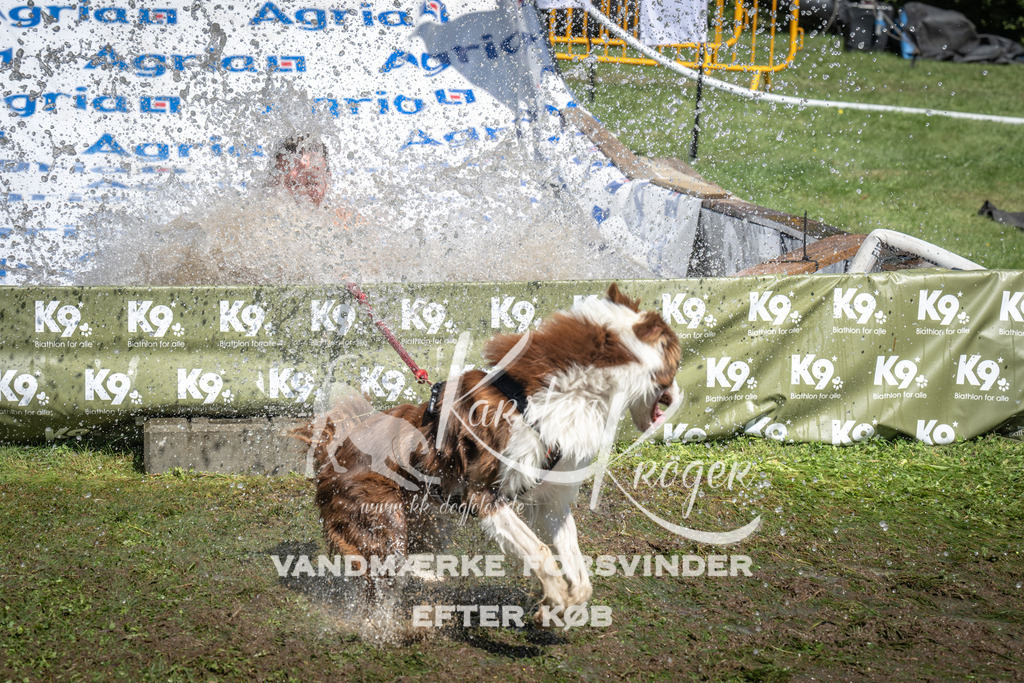 1407_ZZ92546 | kk-dogfotos
