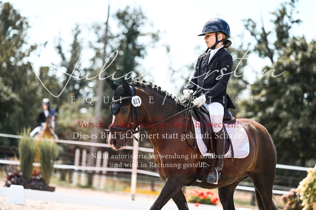 DSC_5737 | Pferde- und Turnierfotografie in Westsachsen. Pferdeportraits, Auftragszeichnungen und intuitive Kunst.