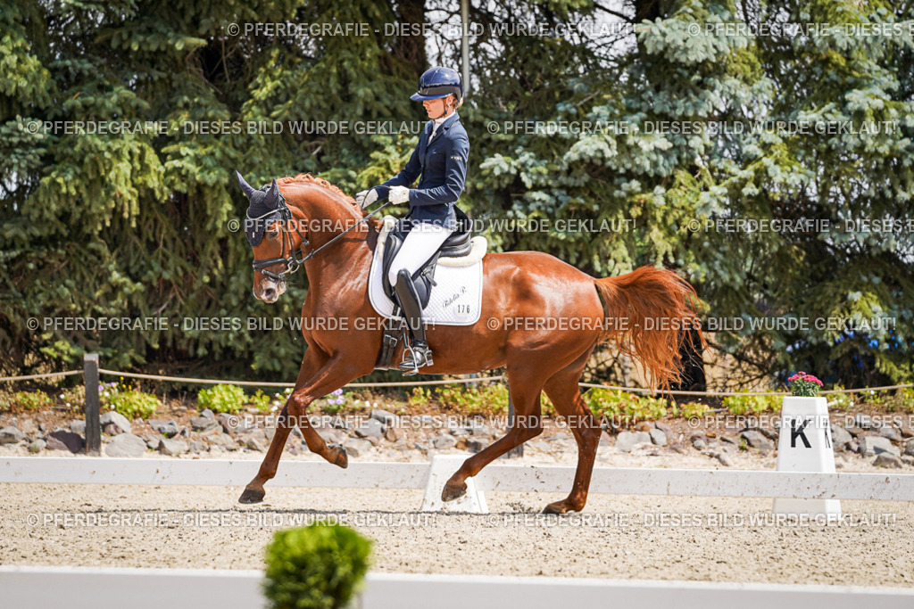 DSC01053 | Pferdegrafie