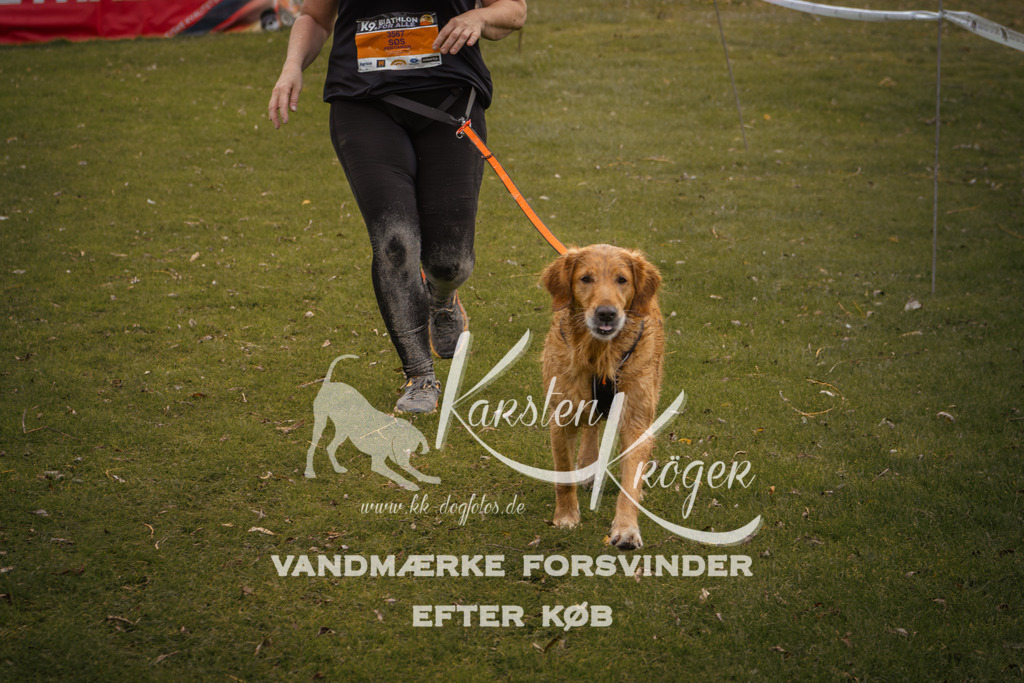 1333_ZZ91294-2 | kk-dogfotos