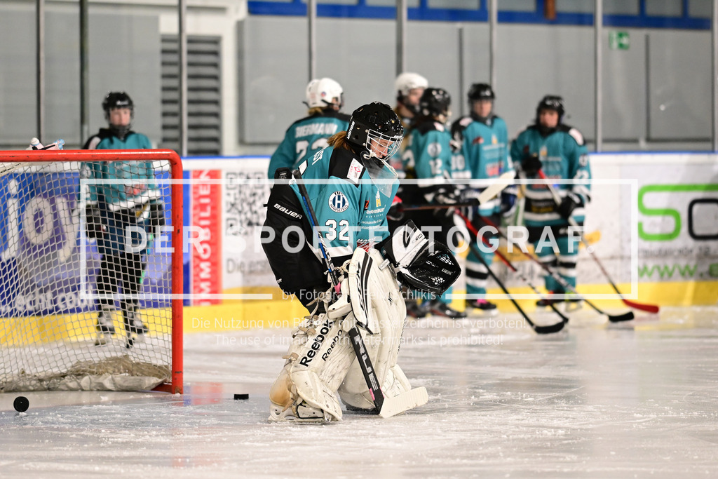 Eishockey I Frauen I Saison 2023-2024 I Testspiel I TuS Harsefeld Tigers - Crocodiles Hamburg I 04988 | Der Sportfotograf. - Realisiert mit Pictrs.com