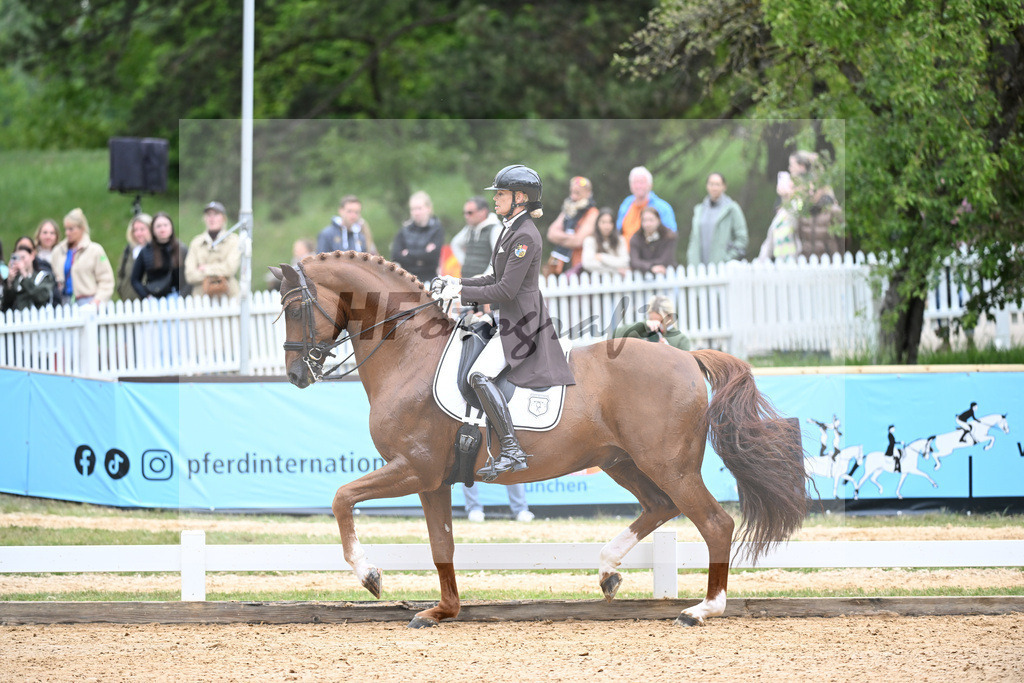 Reichert_SpringBank II VH_26266179 | hf-fotografie - Realisiert mit Pictrs.com