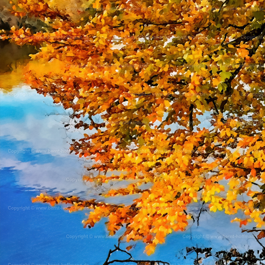 PDM2_1041a_Herbstfarben_100x100 | DIGITALKUNST. Herbstimpression am See. __ Buchenzweige mit Laubverfärbung über dem stillen Wasser an einem See. Formatvariation - Quadrat. - Realisiert mit Pictrs.com