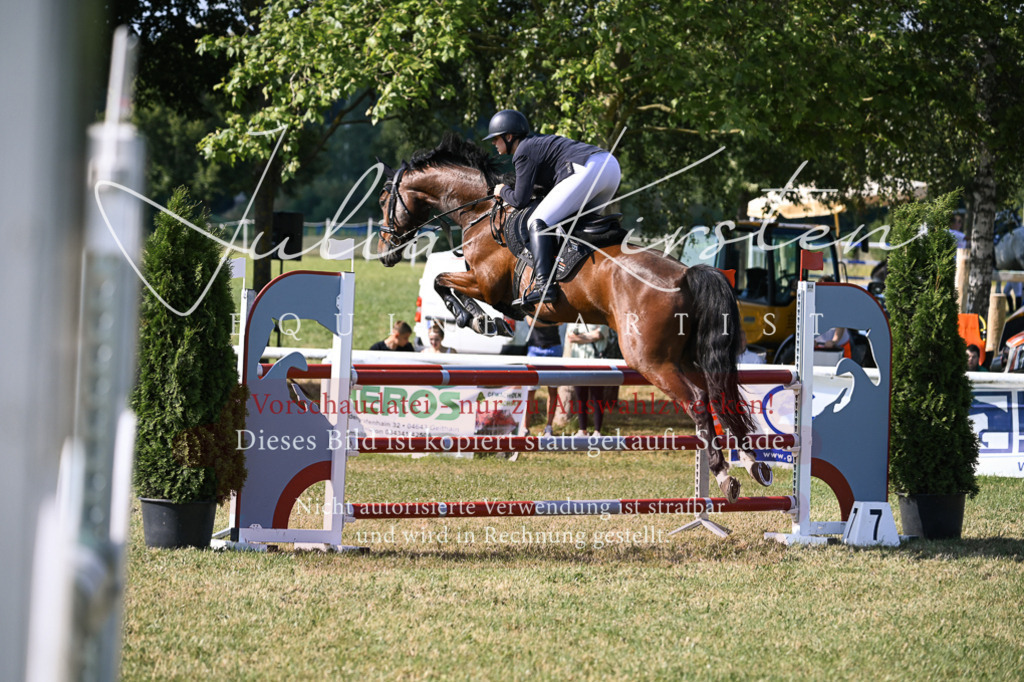 DSC_1463 | Pferde- und Turnierfotografie in Westsachsen. Pferdeportraits, Auftragszeichnungen und intuitive Kunst.