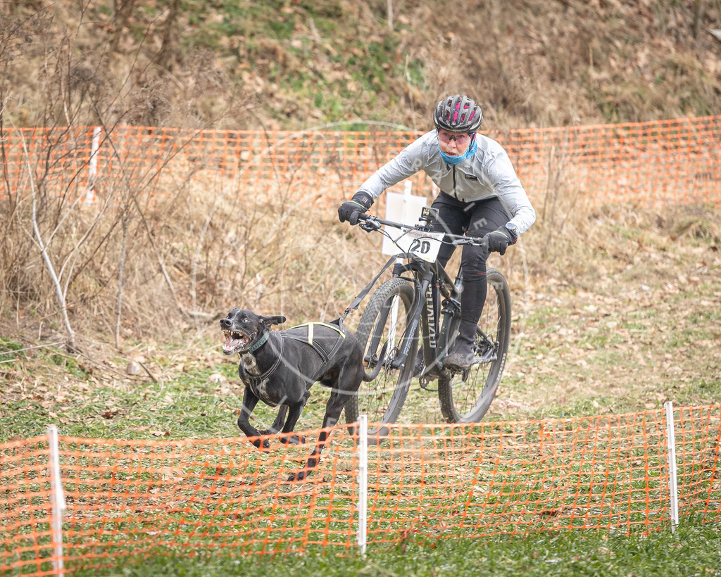 Pfotenfotografie_DV3A7146 | Hundefotografie, Tierfotograf, Pfotenfotografie, Fotoshooting Hund, Hunde Portrait, Hundesport, Hundeportraits, Heideshooting, Hunde, Sportfotograf, Hundefotograf, Turnierhundsport, THS,  - Realisiert mit Pictrs.com