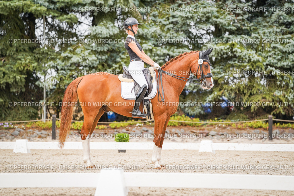 DSC07897 | Pferdegrafie