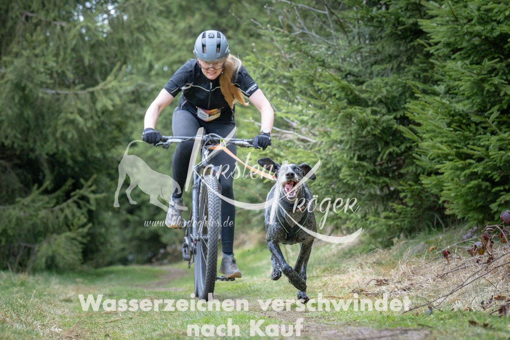 1310_ZZ93841 | kk-dogfotos