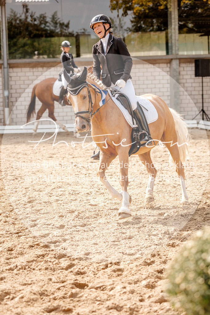 3I6A4574 | Stimmungsvolle Portraits und Reitsportfotografie im Ruhrgebiet und im Münsterland.

Pferdefotografie, Hundefotografie, Tierfotografie, Reportagen, Portraits von Tier und Mensch, Turnierfotografie in Bochum, Recklinghausen, Marl, Haltern am See, Dülmen.. - Realisiert mit Pictrs.com