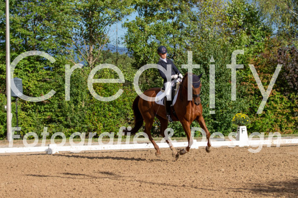 IMG_4737 | Creatify Fotografie