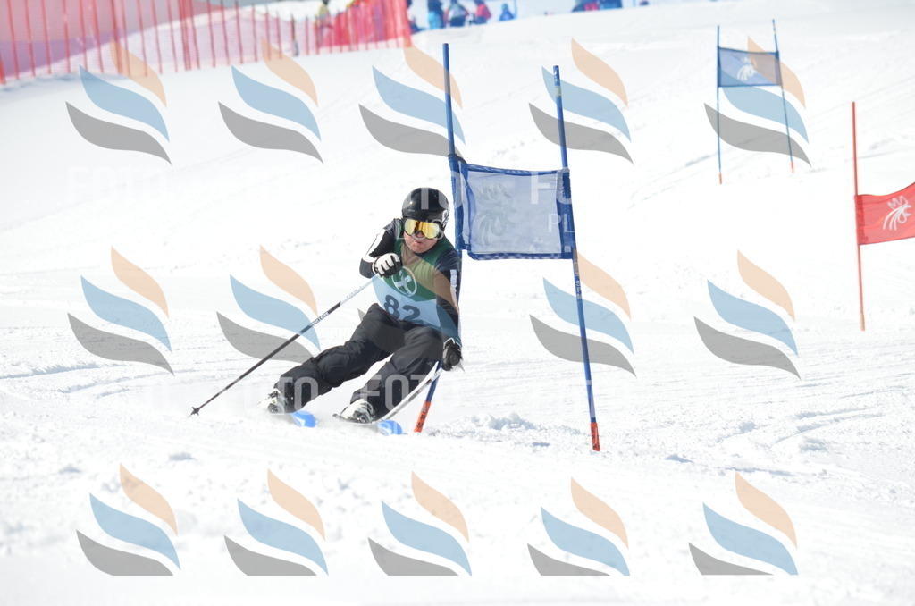 D9023 | holidayphoto